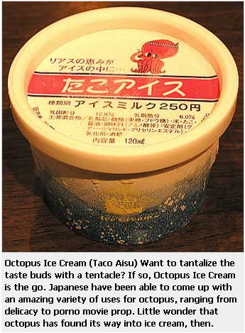 ไอศกรีมประหลาด...ของคนญี่ปุ่น 48764032