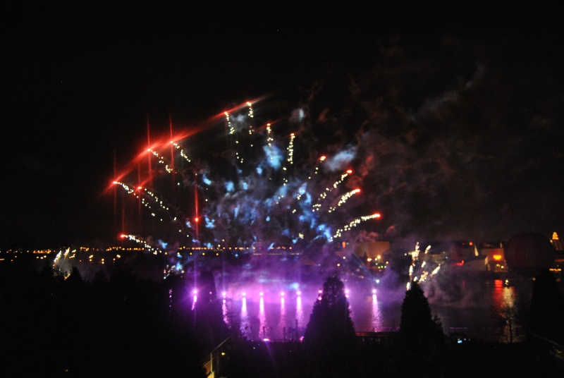 Mickey’s Magical Fireworks & Bonfire  le 4 , 6 et 8 novembre 2013 - Page 3 Octobr19
