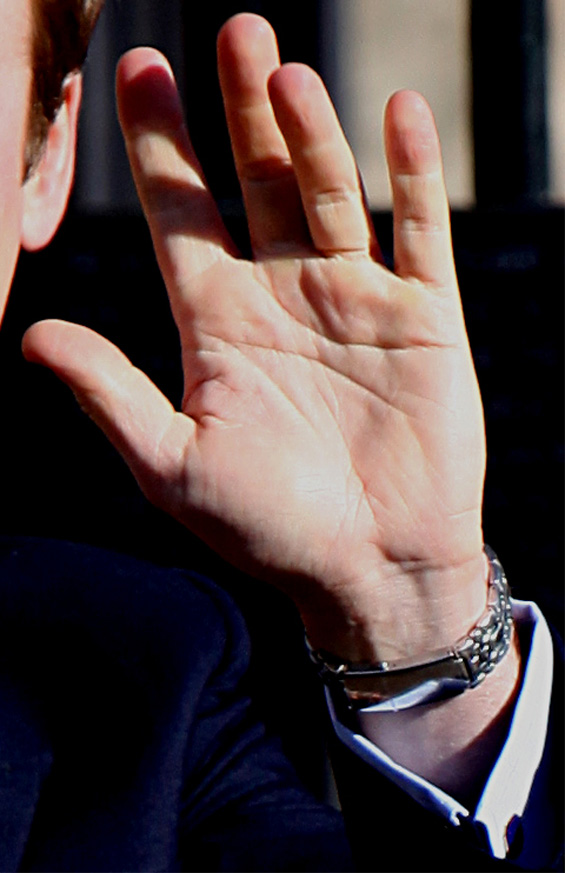 Hands of Royalty - Prince William of Wales Prince11