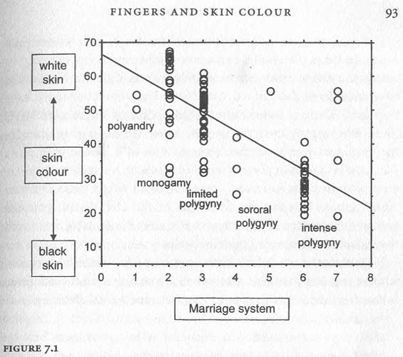 FINGER LENGTH SHOWS: Neanderthals were more competitive & promiscuous! Skin-c10