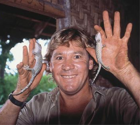 STEVE IRWIN  - The Crocodile Hunter ! Steve-11