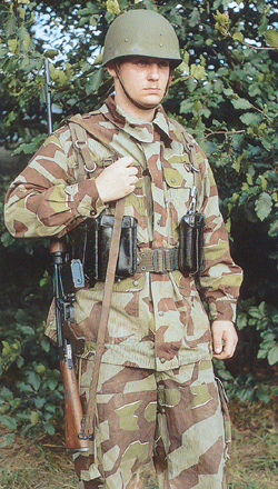Veste allemande camouflé?????????????????? Bw-sol10