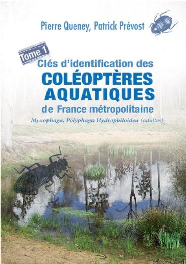 Clé d'identification des coléoptères aquatiques de France métropolitaine Colzoo10