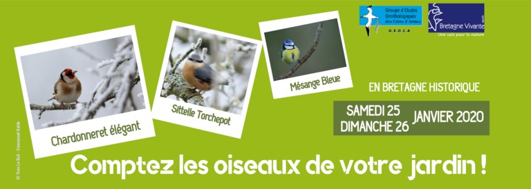 Ce week-end : Comptage des oiseaux de jardin (25 et 26 janvier 2020) Oiseau10