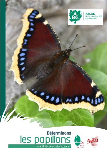 Clé de détermination des papillons de Brière Papill10