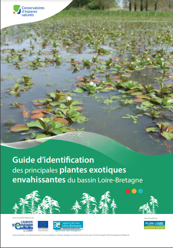 Guide d'identification des principales plantes exotiques envahissantes du bassin Loire-Bretagne Pi10