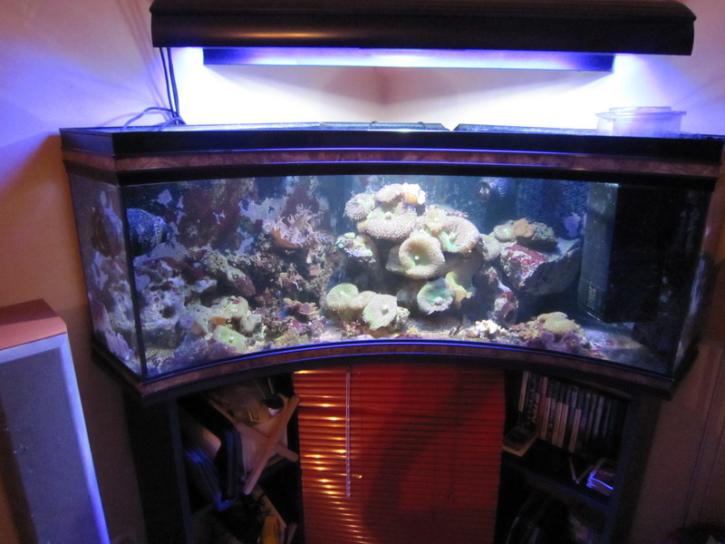 Avis pour 200 litres environ Photo_10