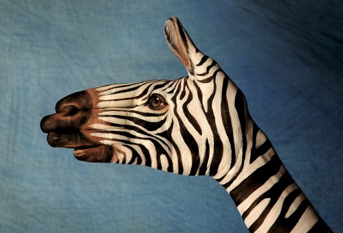 Body painting Zebra-10