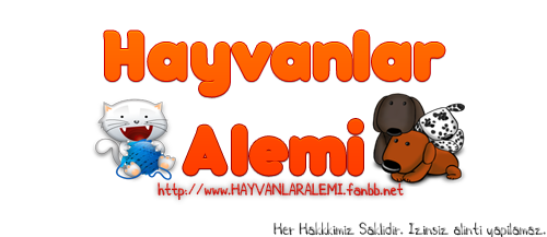 Hayvanlar Alemi Logo1110