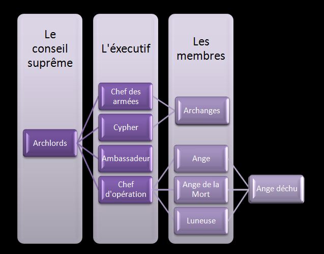 Les rangs et leurs fonctions Organi10