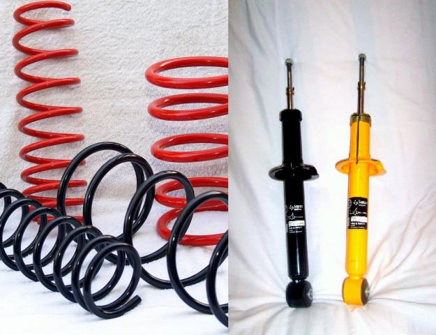 Shock Absorber & Coil Spring Pro Ride Performance - Page 2