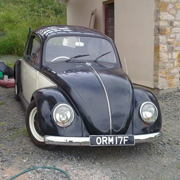 67 bug Mid_wa11