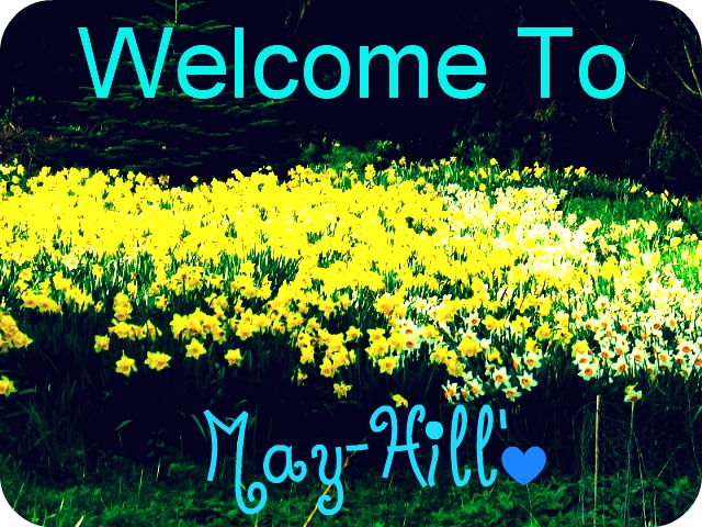 Adventures in May-Hill | Book 1 | The Adventure Begins Welcom10