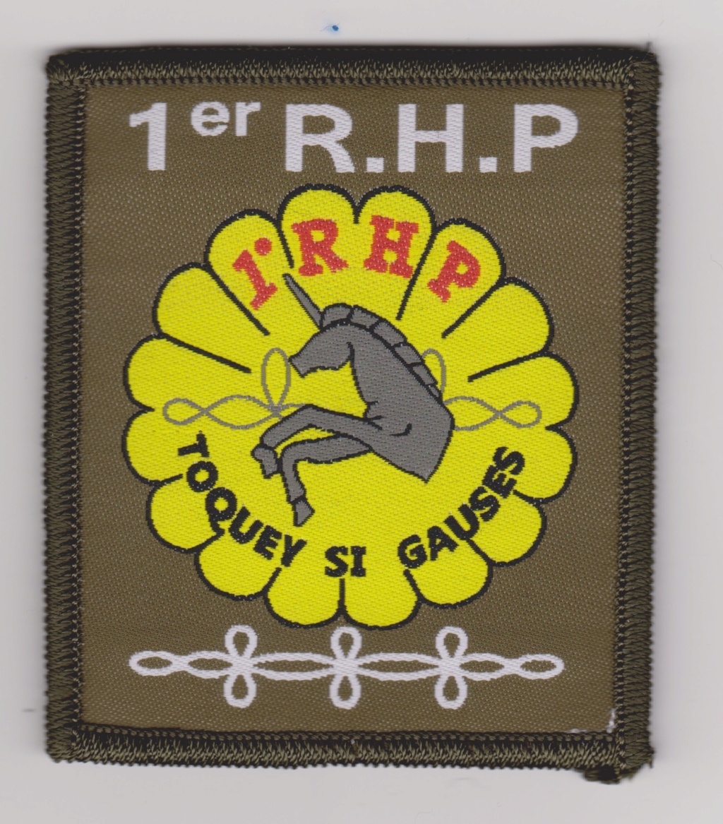 Insignes des unités de réserve de l'armée de terre 1_rhp_11
