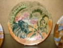 Cobridge - Page 2 Tropic10
