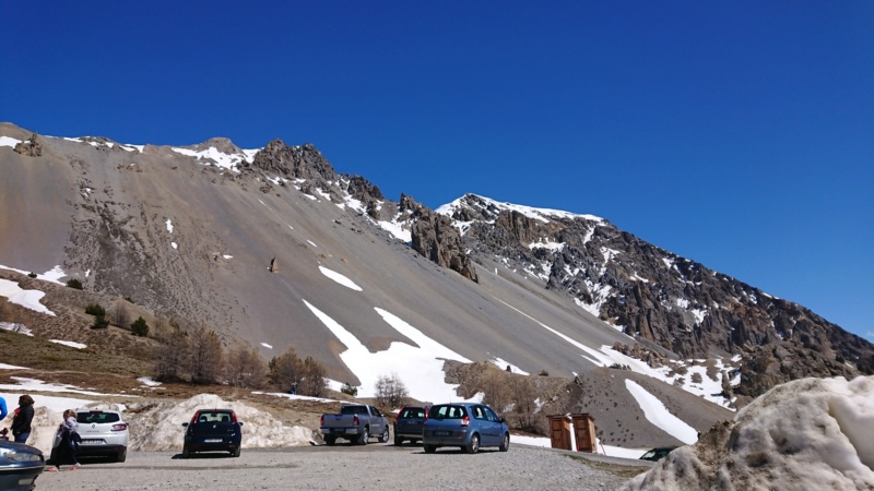 Road Trip - La route des grandes Alpes - Page 3 Dsc_2511