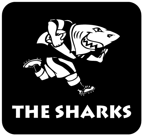 Cell C Sharks v British & Irish Lions, 7 July - Page 2 Sharks10