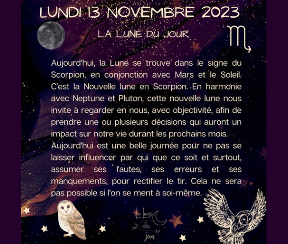Aspects du mois de Novembre - Page 6 _289