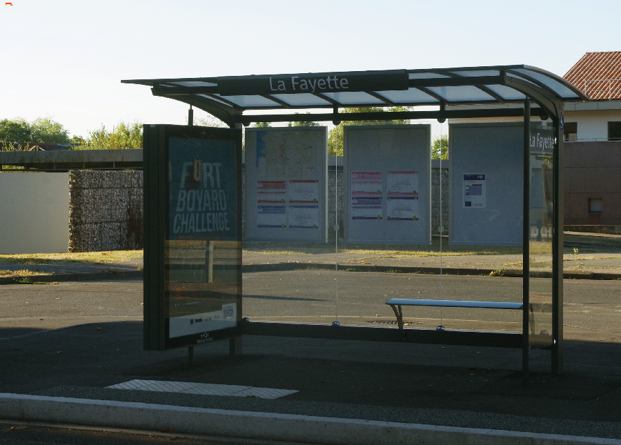 Fouras, la marée, les animaux et R'Bus Imgp8112