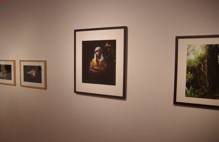 Le Jardin d’Adraï, exposition photos Imgp8729