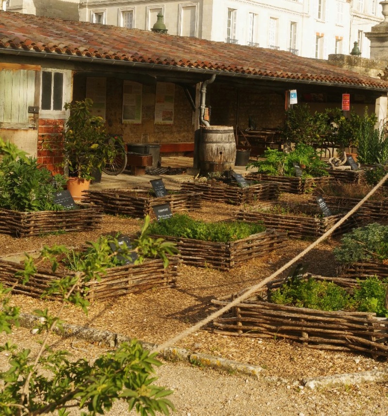 Le jardin enchanté, le Potagé du Roy ! Imgp8732