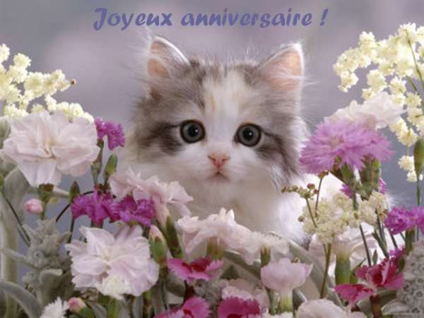 Joyeux anniversaire !!!  - Page 25 Joyeux15