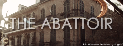 The Abattoir Aba10