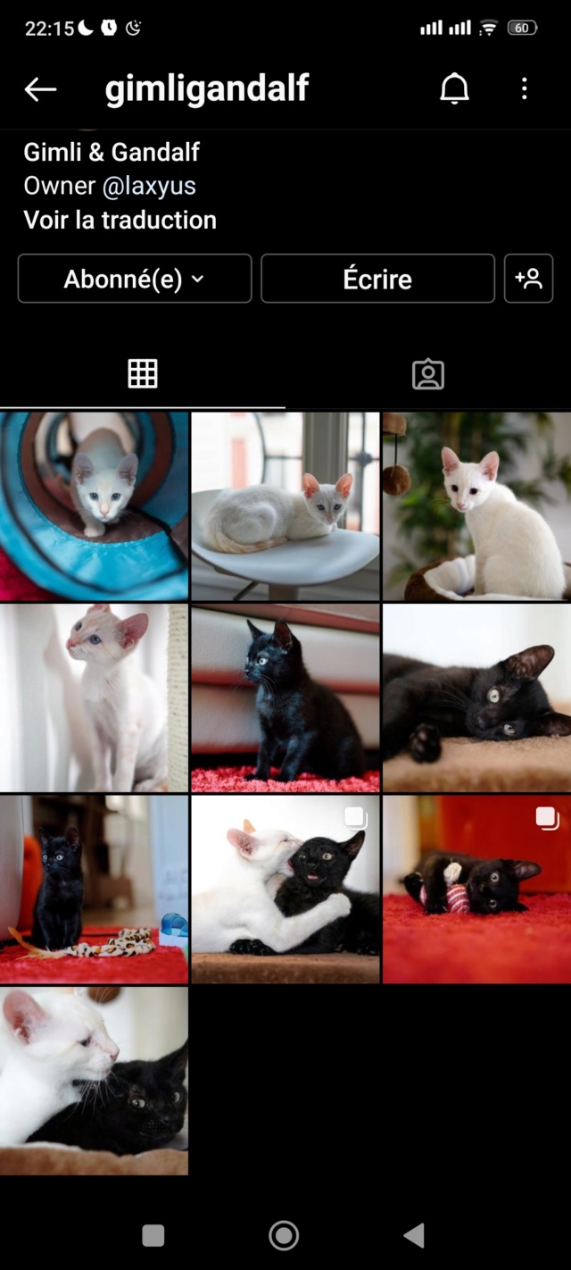 Nouvelles des chats adoptés en 2022 Screen12