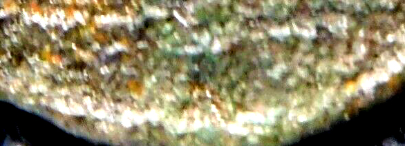 Constantin II Sans_t22