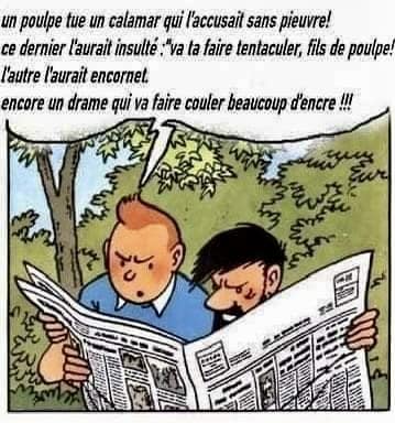 Humour en image du Forum Passion-Harley  ... - Page 14 Poulpe10