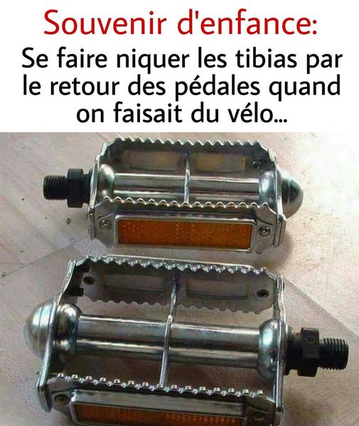 Humour en image du Forum Passion-Harley  ... - Page 26 Vealo10