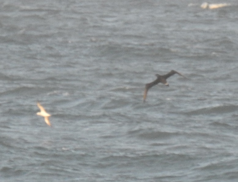 Pedido de ID - Marítimas - Cabo Raso - 28 setembro 2019 Dscn8410