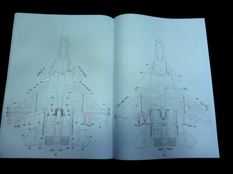 [Minibase] Su-33 Flanker-D Dscn6839