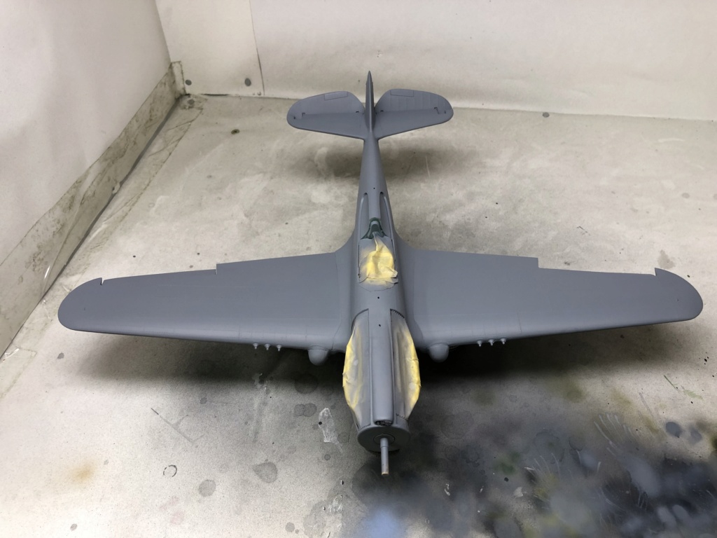 P40-E Warhawk 1/32 - Sida 2 Img_0145
