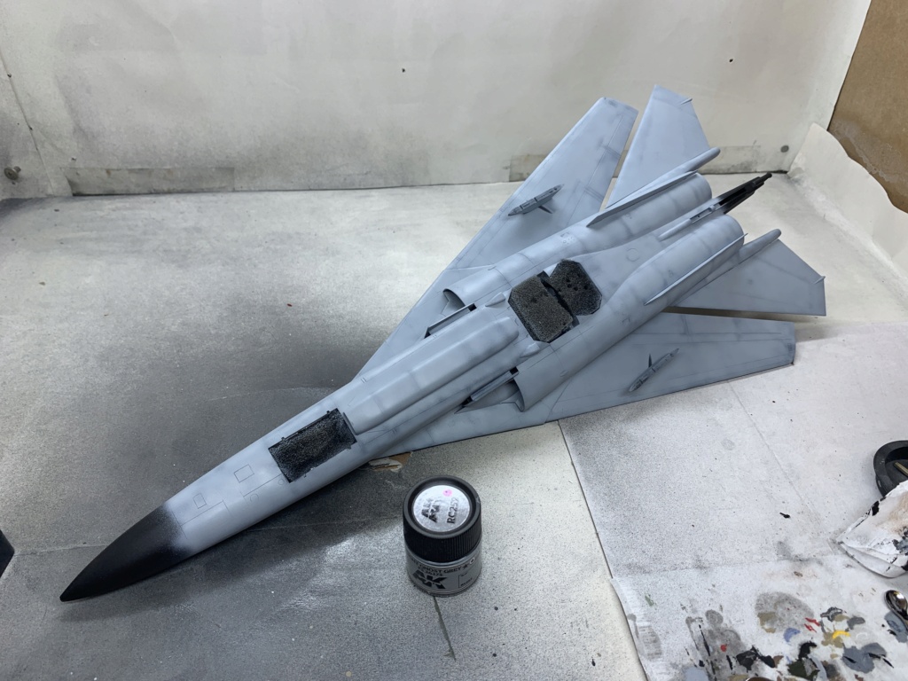 EF-111A Raven, 1/48, Academy - Sida 2 Img_0709