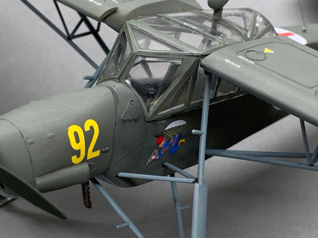 Fieseler FL156 Störcke, ESCI 1/48 Img_2190