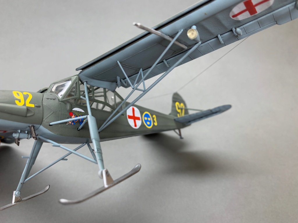 Fieseler FL156 Störcke, ESCI 1/48 Img_2201