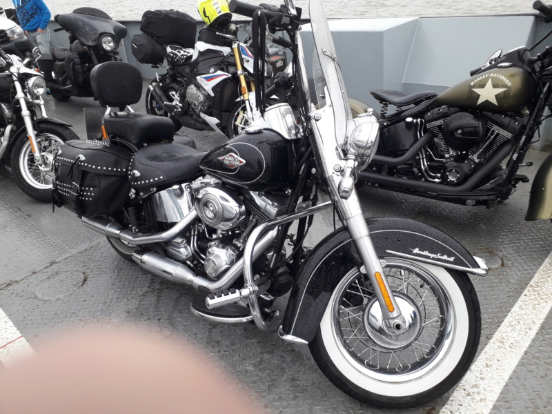 3 schöne "Harley Davidson" 20190547