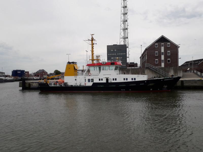 Auf der Elbe ist immer was los. - Seite 3 20190632