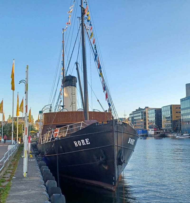 Schiffe im Hafen von Malmö und Kopenhagen. 20230952