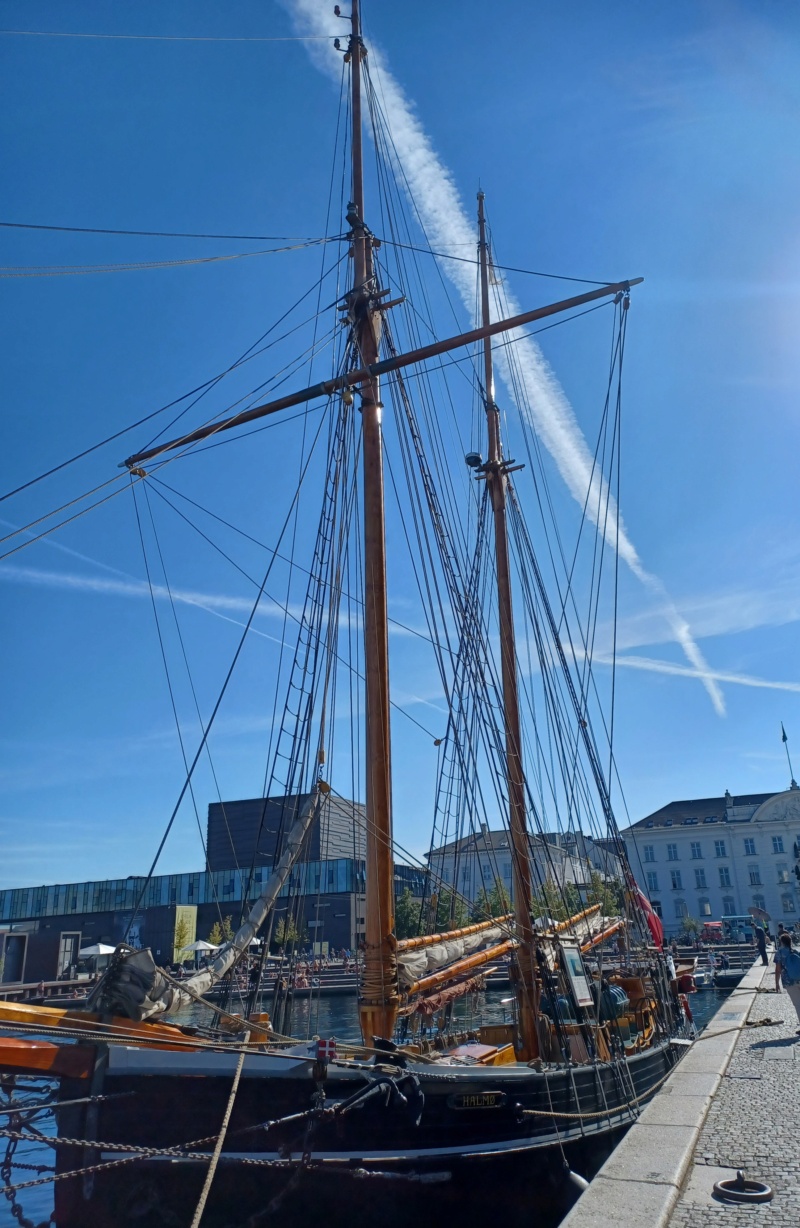 Schiffe im Hafen von Malmö und Kopenhagen. 20230980