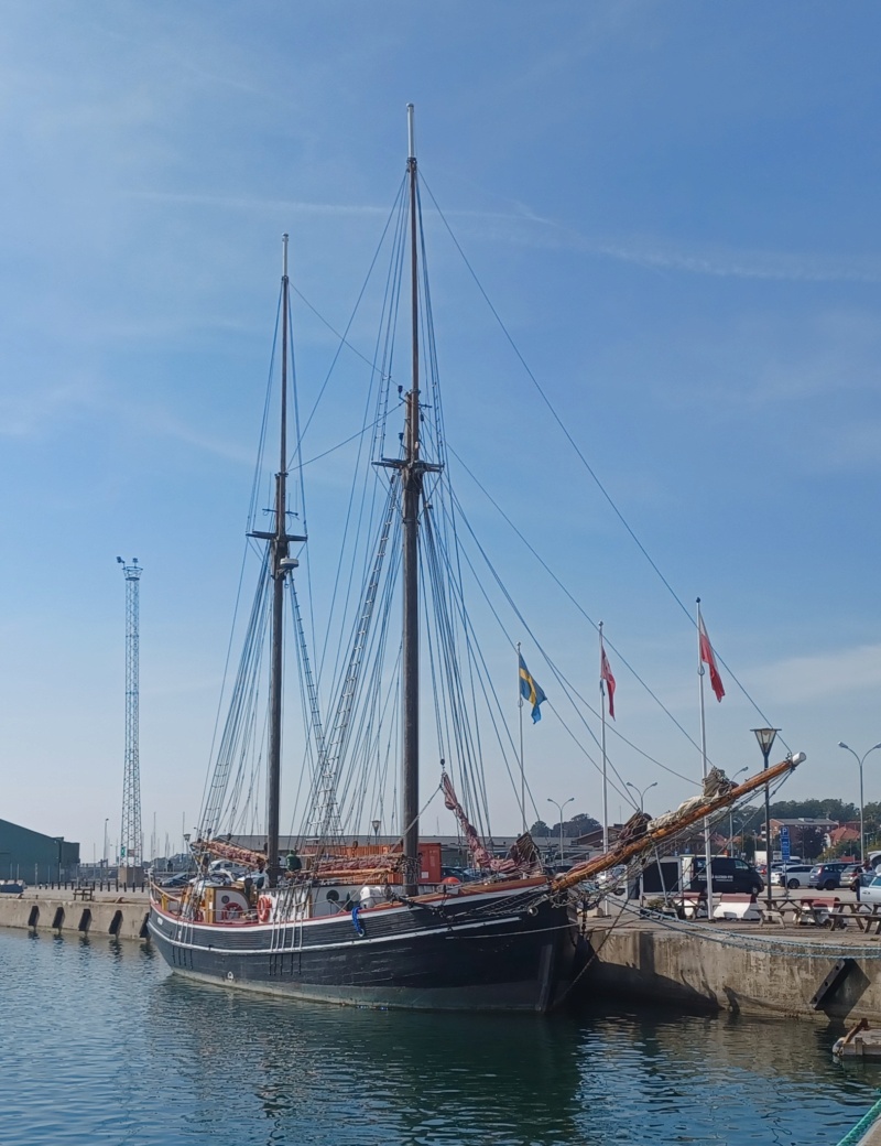 Schiffe im Hafen von Malmö und Kopenhagen. 20230984