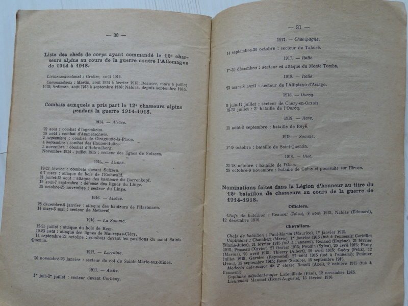 Historique du 12ème BCA 14/18 (1920) -BRIN-Juillet-1 A CLOTURER  Histor12