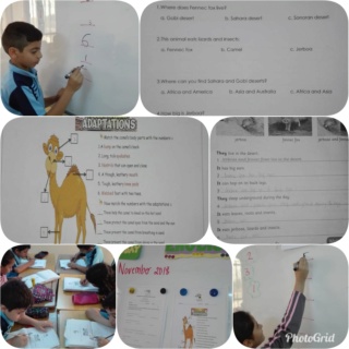 Conducting Class test 3 and Answering Activity book/worksheet about desert animal adaptations Photog14