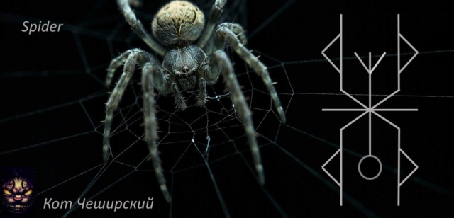 Spider ( защита с возвратом)  P99c9k10