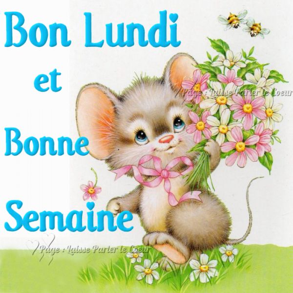 Bonjour tout le monde  - Page 37 33150510