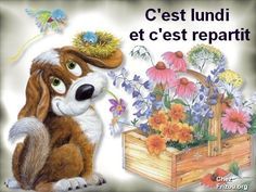 Bonjour tout le monde  - Page 36 9b27bf11