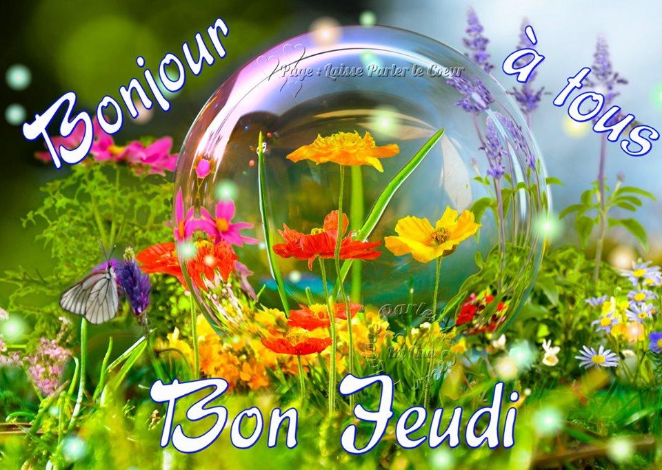 Bonjour Jeudi_10