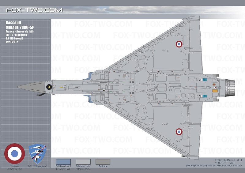 Mirage 2000 - Page 26 Sans_t16