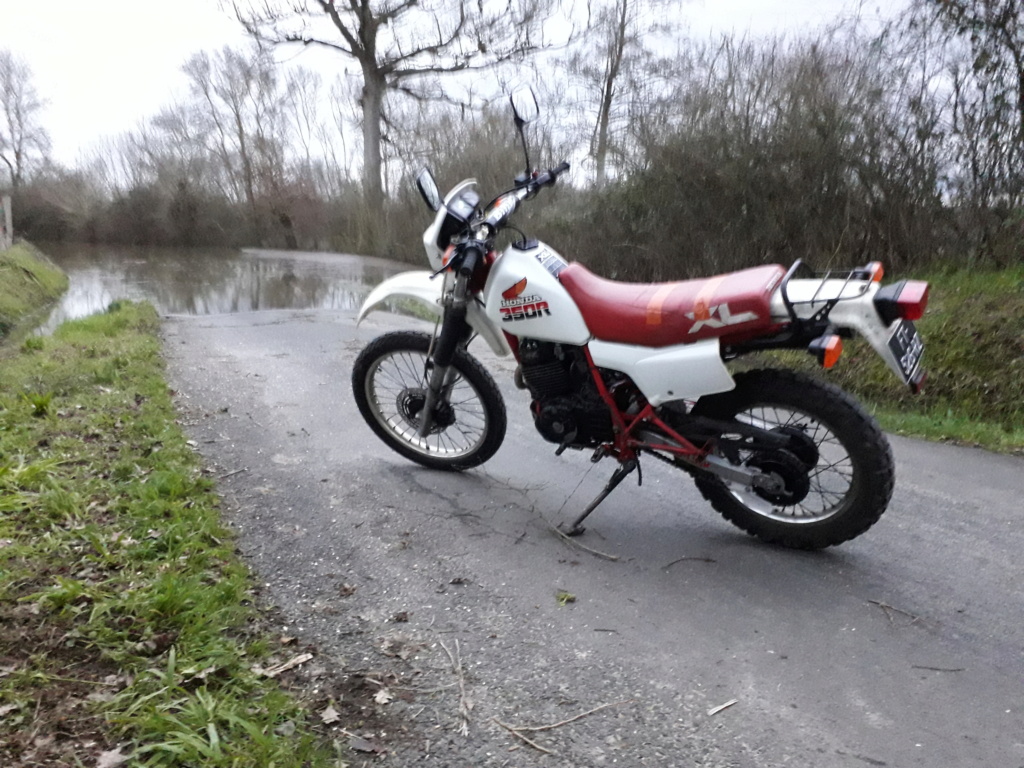 Les ballades de la Guidoune (XLR 350 de Polak49) 20210221